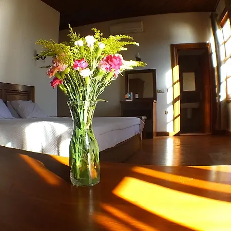 Hostel Odile Konak *