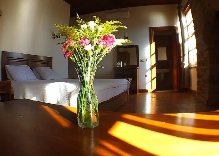 Hostal Odile Konak *